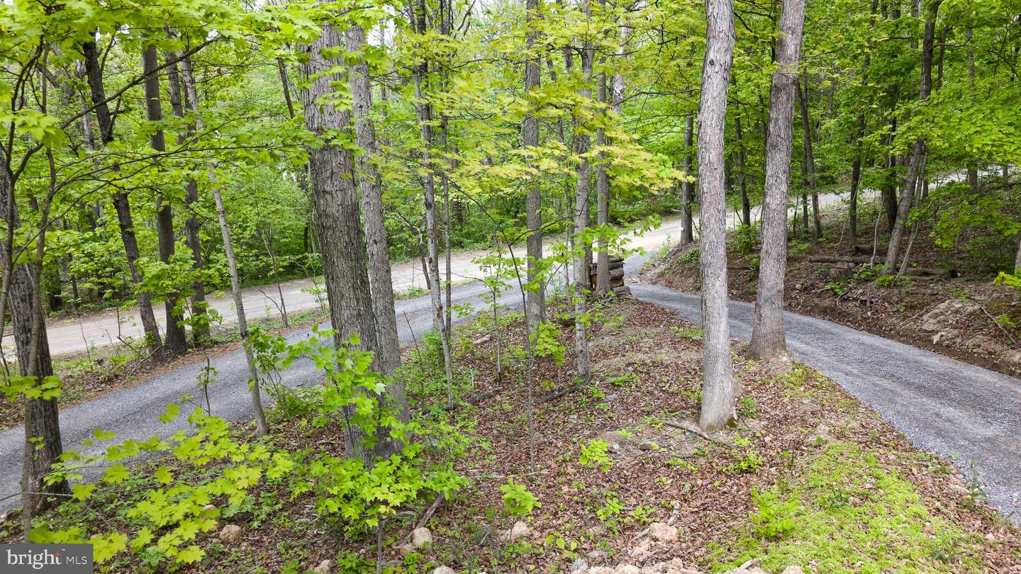 2614 Lake Ferndale Dr Property Photo 77