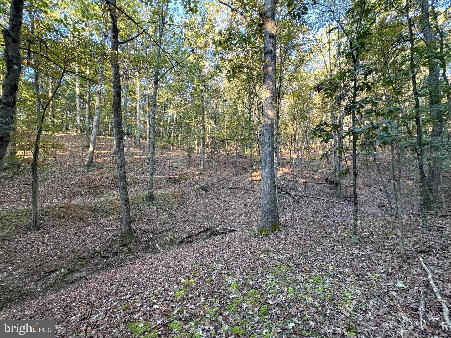 7313 Little Cacapon Rd Property Photo 1