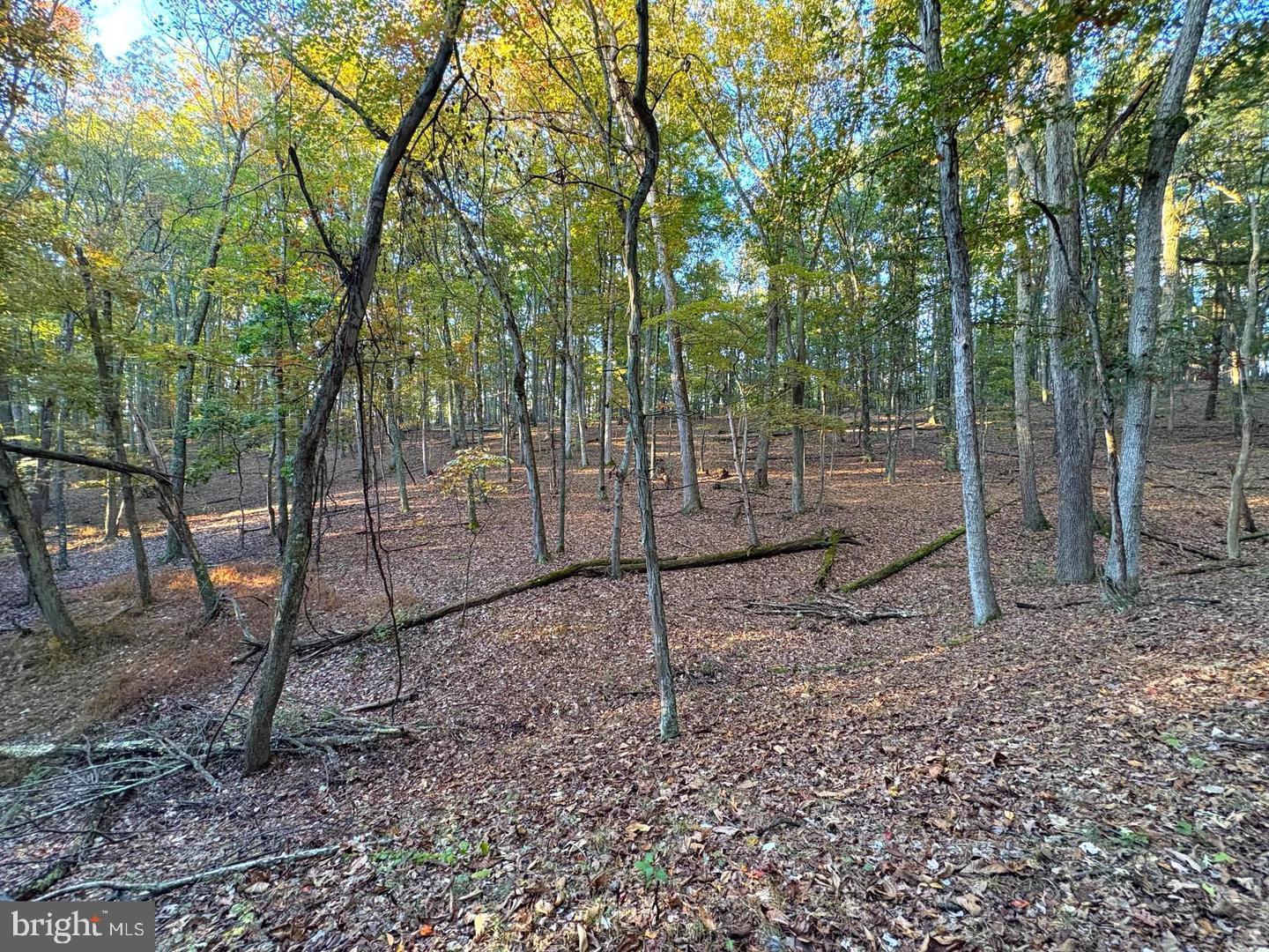7313 Little Cacapon Rd Property Photo 3