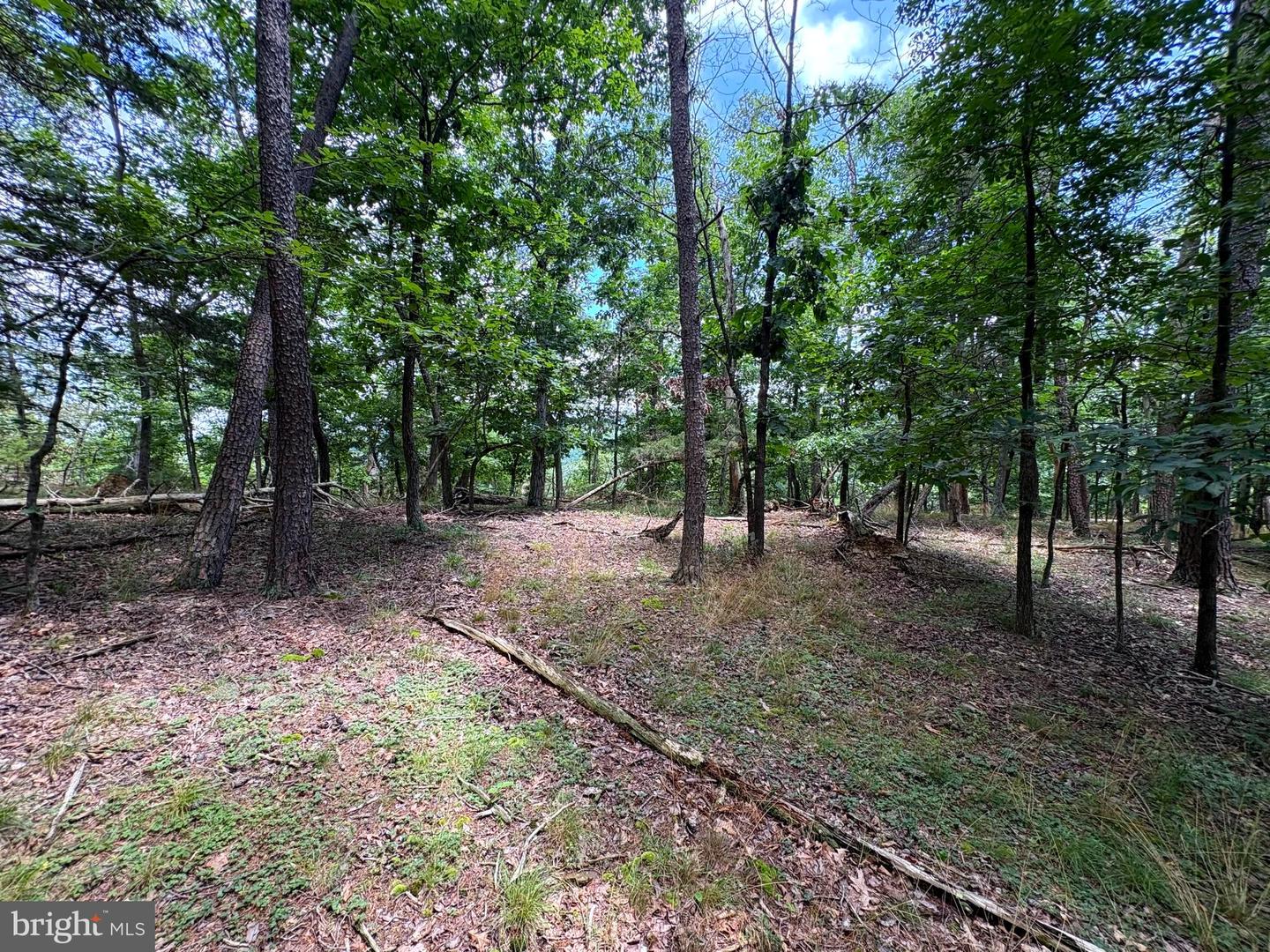 7313 Little Cacapon Rd Property Photo 4