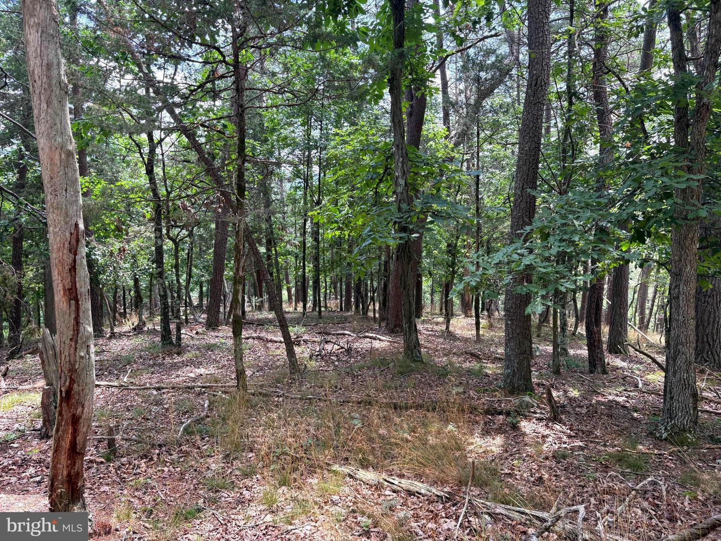 7313 Little Cacapon Rd Property Photo 6