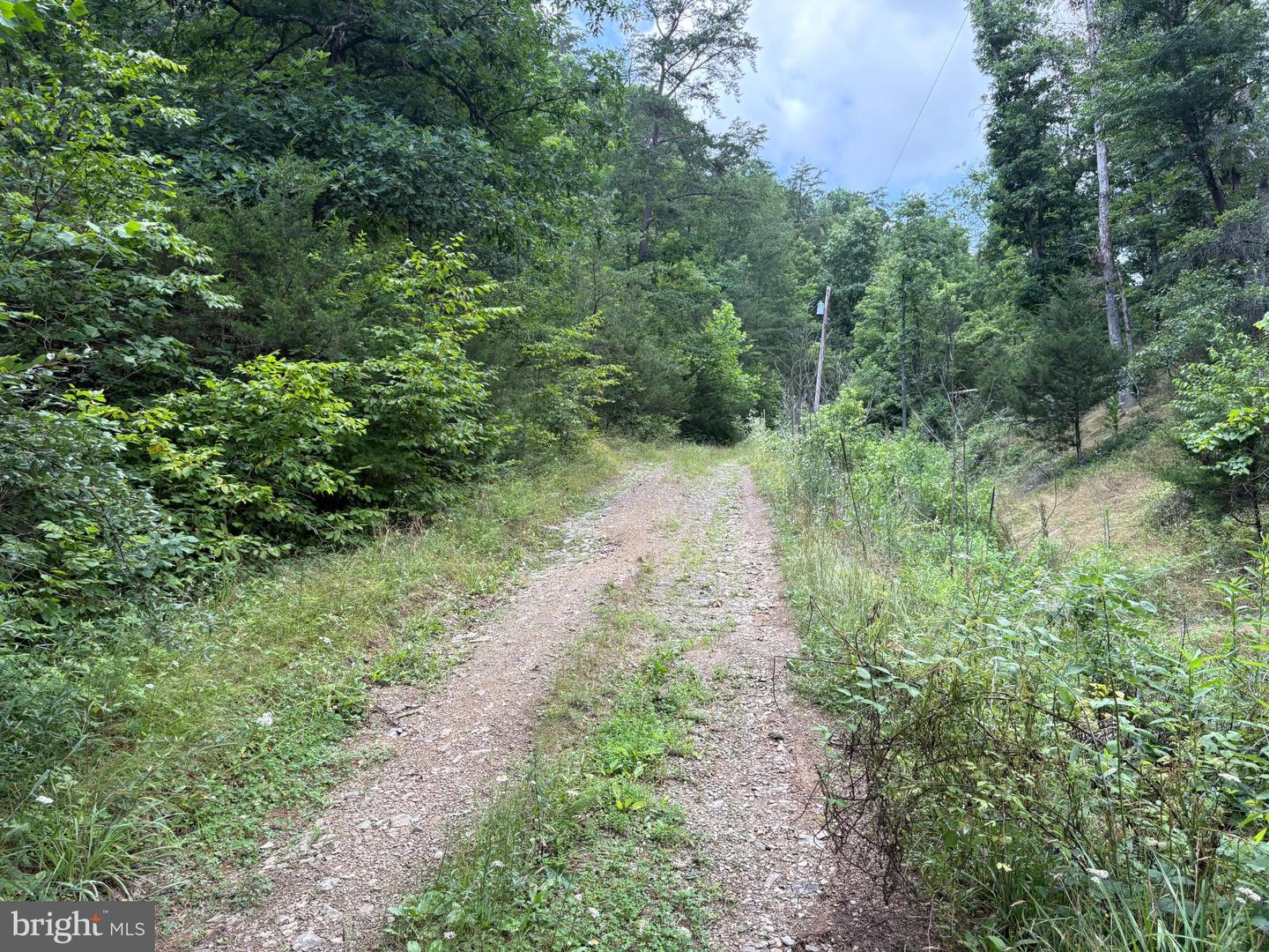 7313 Little Cacapon Rd Property Photo 7