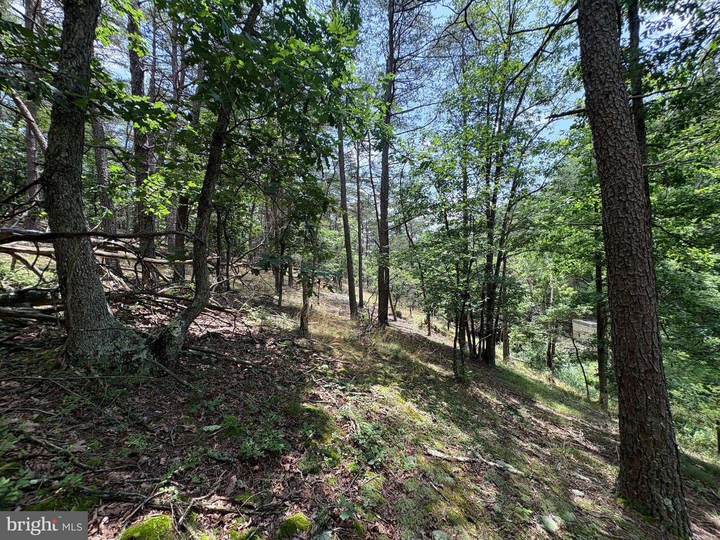 7313 Little Cacapon Rd Property Photo 8