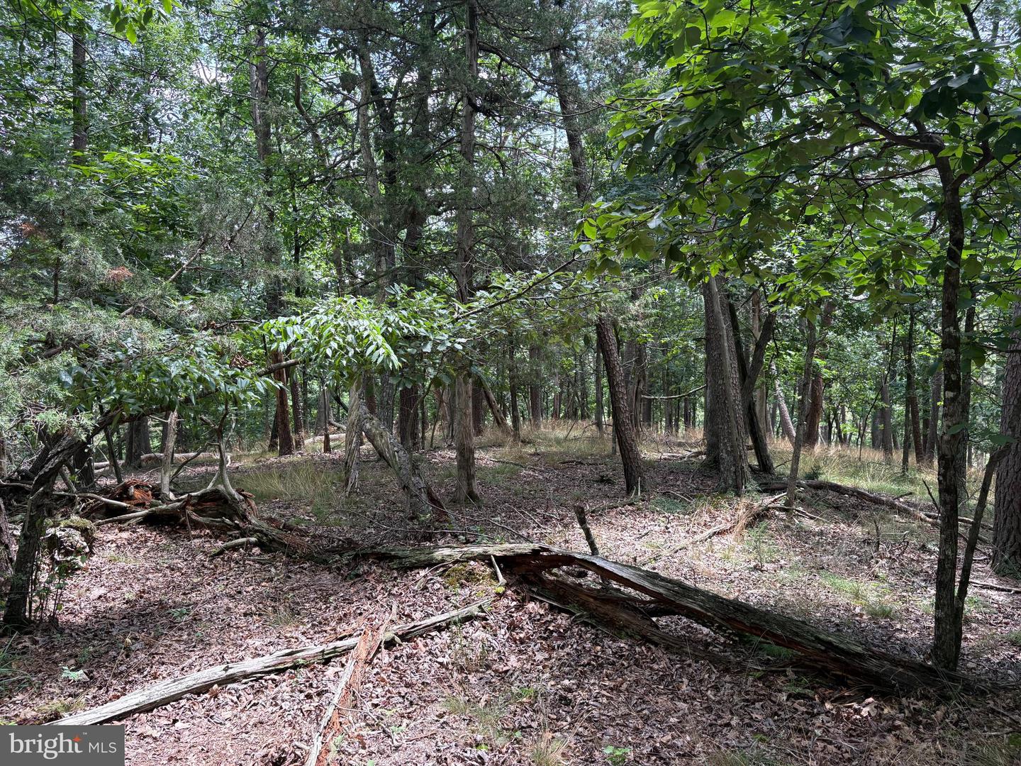 7313 Little Cacapon Rd Property Photo 10