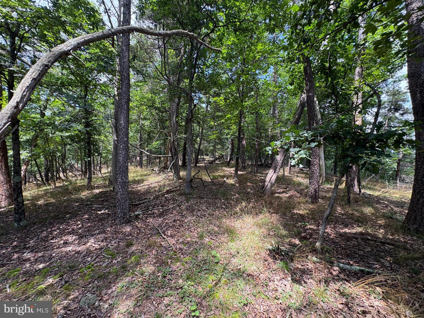 7313 Little Cacapon Rd Property Photo 11