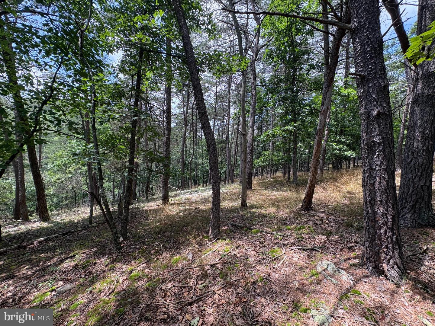 7313 Little Cacapon Rd Property Photo 12