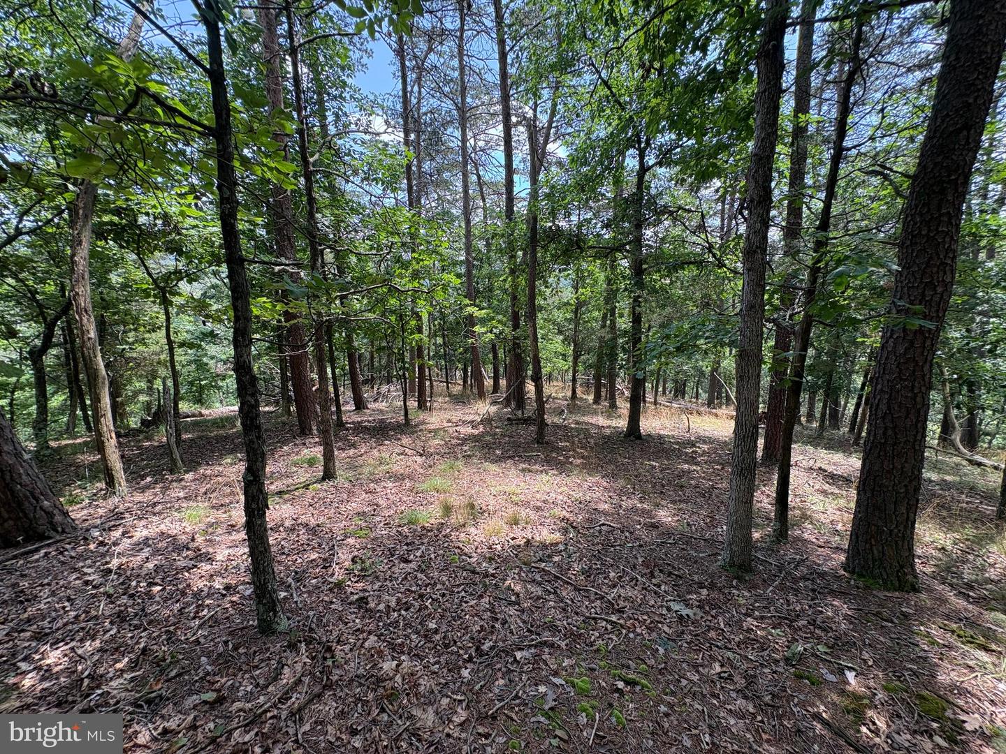 7313 Little Cacapon Rd Property Photo 13