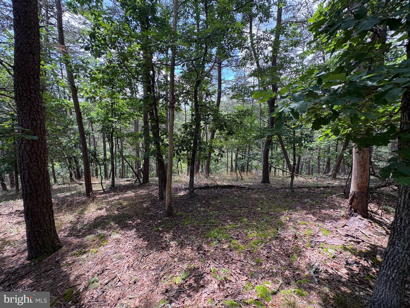 7313 Little Cacapon Rd Property Photo 14