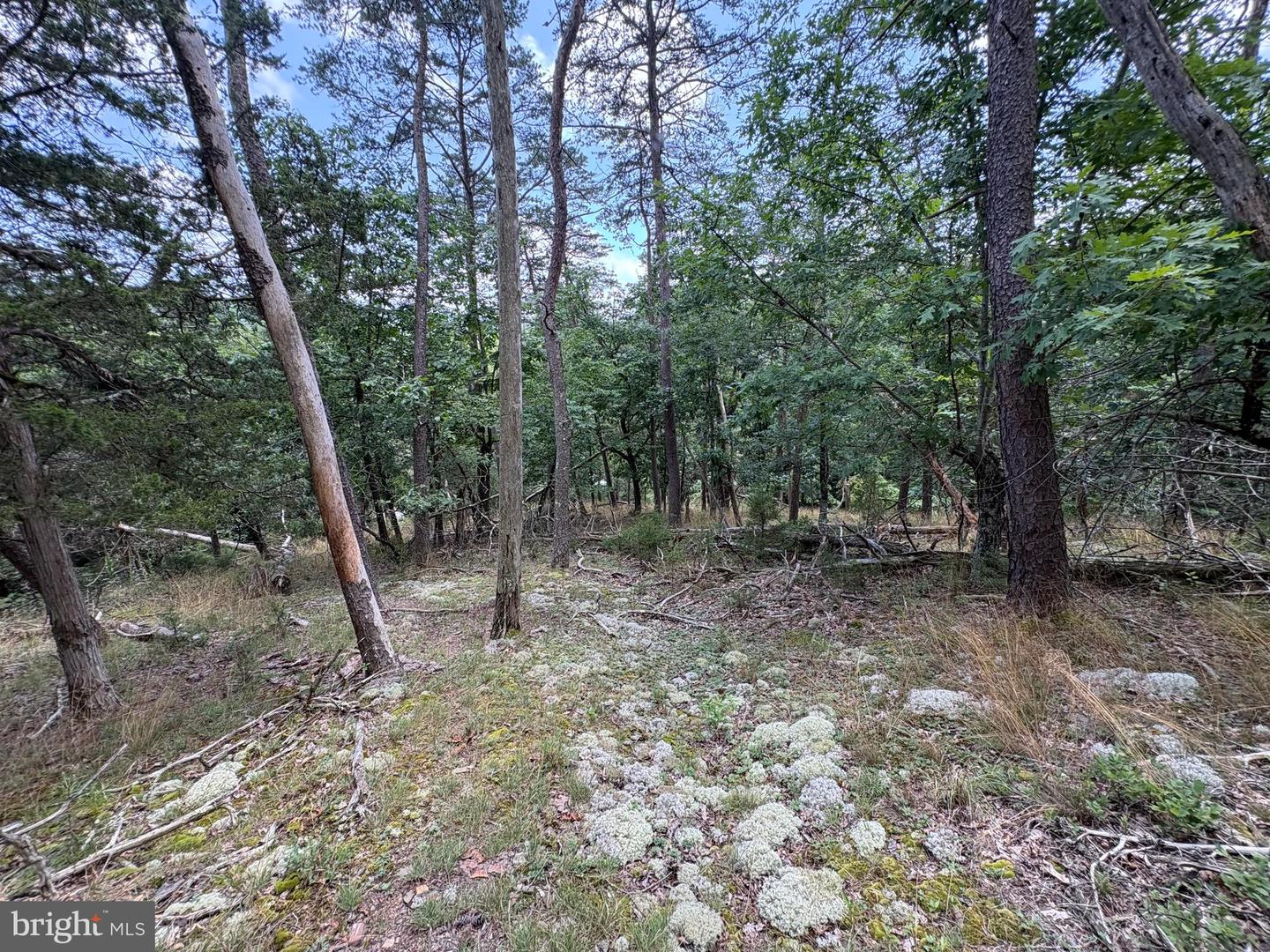 7313 Little Cacapon Rd Property Photo 15