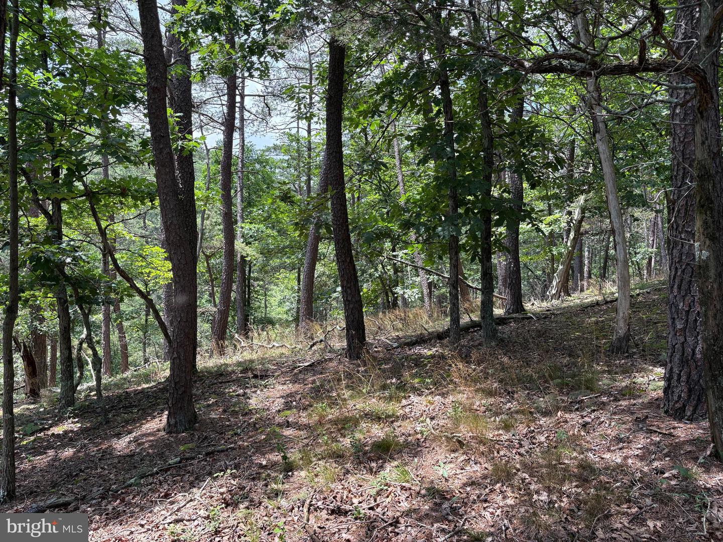 7313 Little Cacapon Rd Property Photo 16