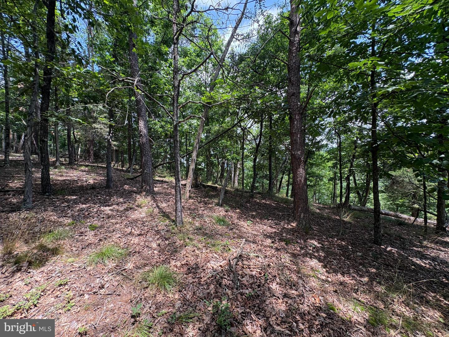 7313 Little Cacapon Rd Property Photo 17