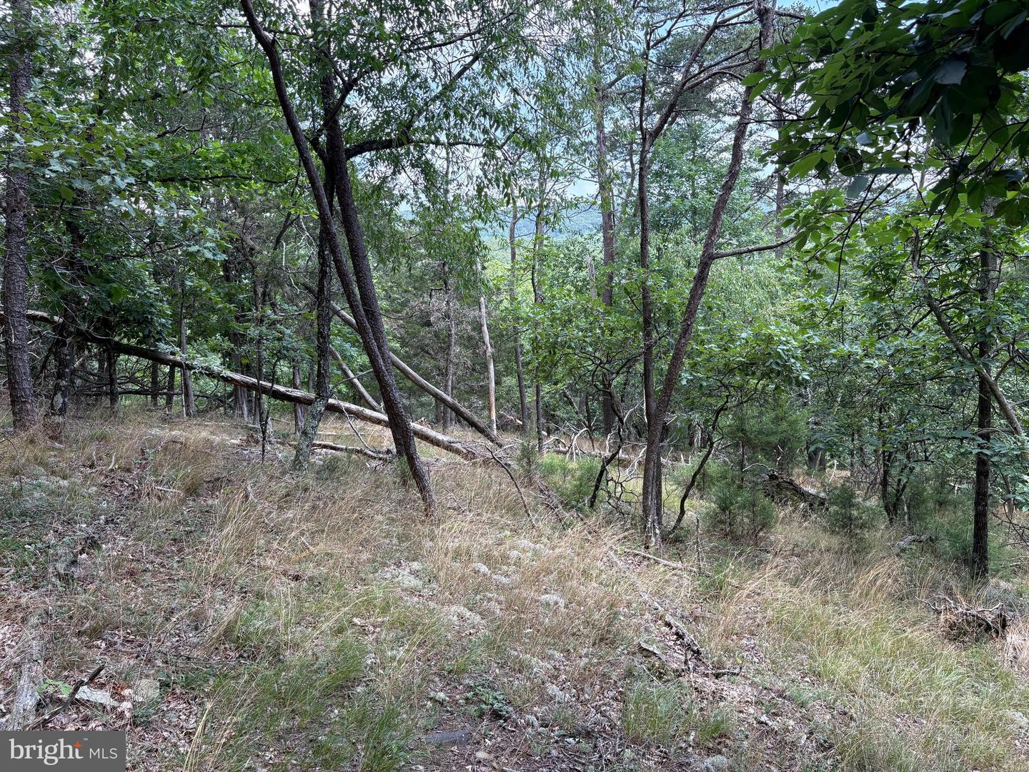7313 Little Cacapon Rd Property Photo 18