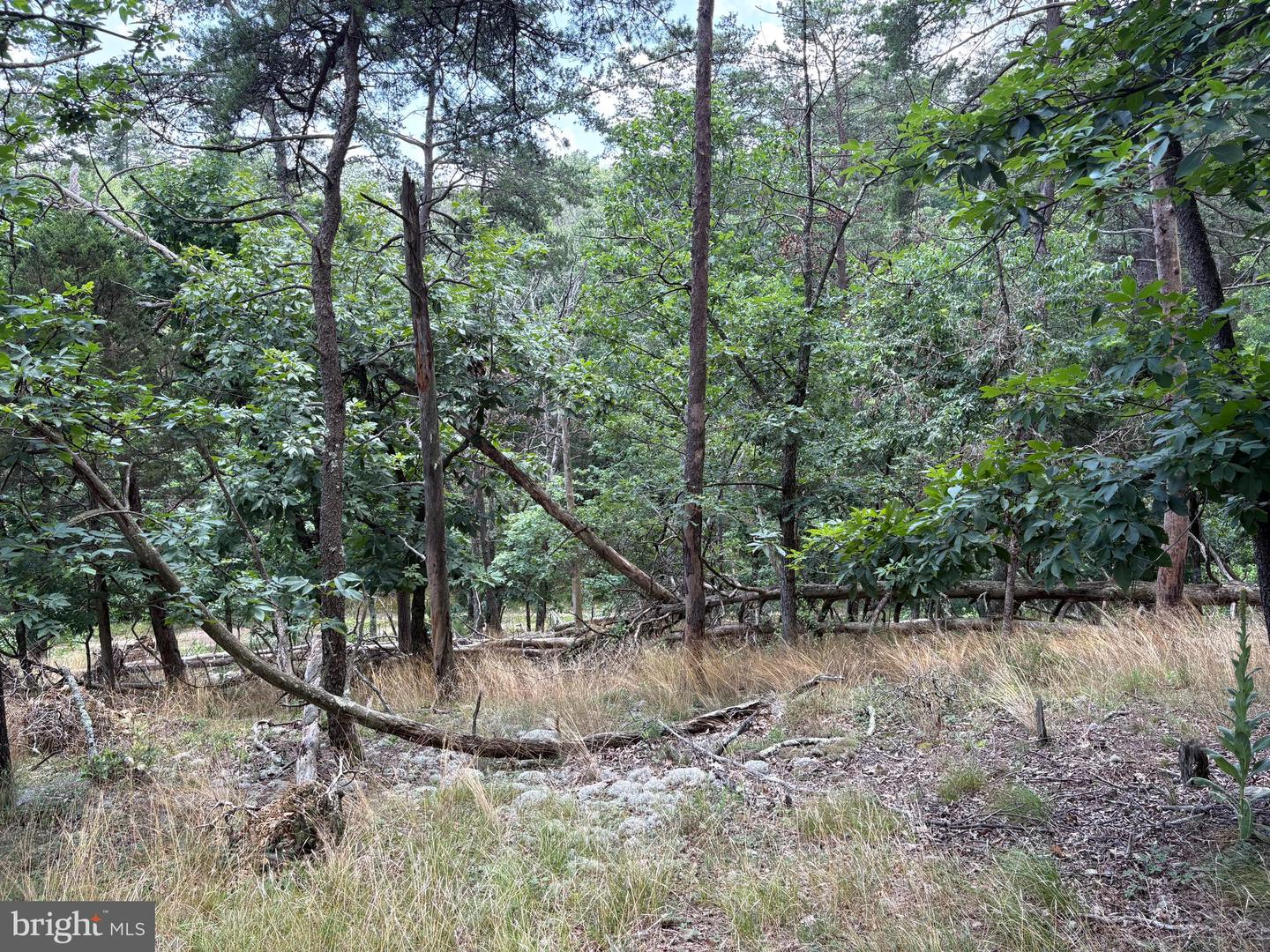 7313 Little Cacapon Rd Property Photo 19