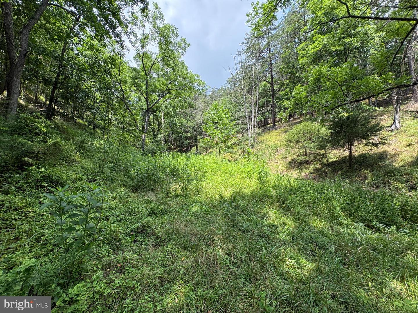 7313 Little Cacapon Rd Property Photo 20