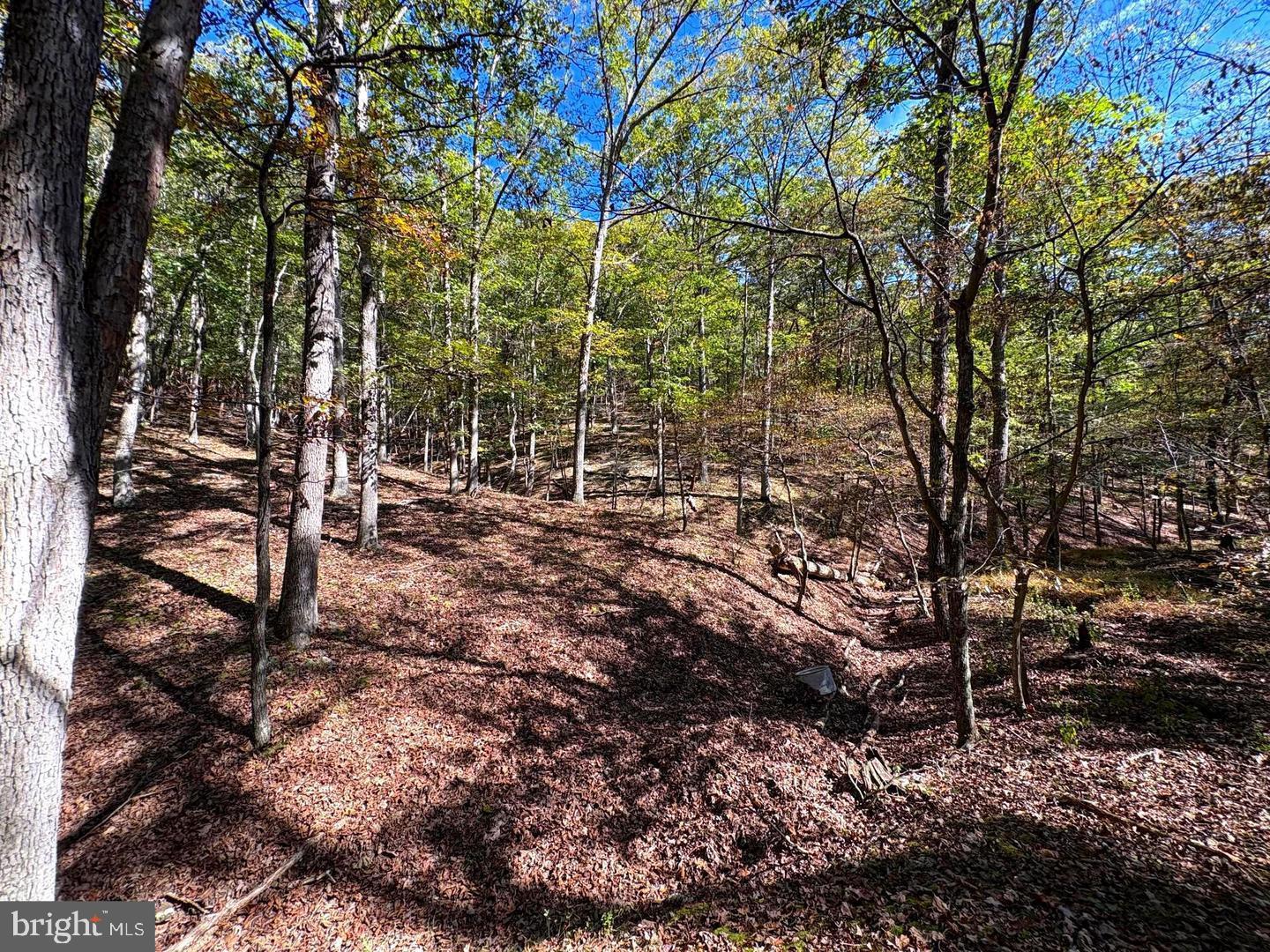 7313 Little Cacapon Rd Property Photo 23
