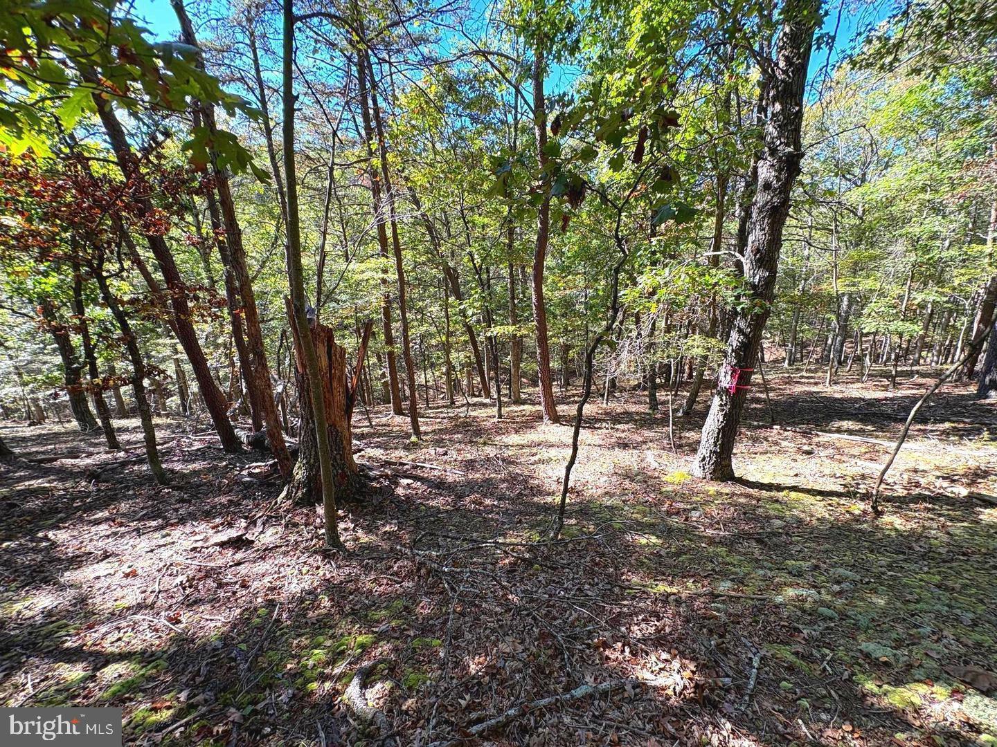 7313 Little Cacapon Rd Property Photo 25