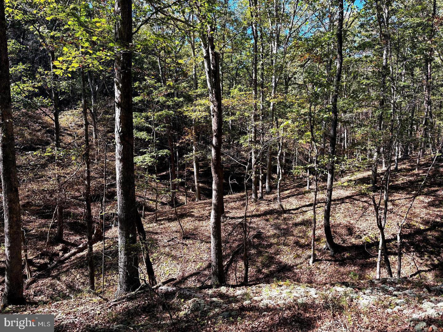 7313 Little Cacapon Rd Property Photo 26