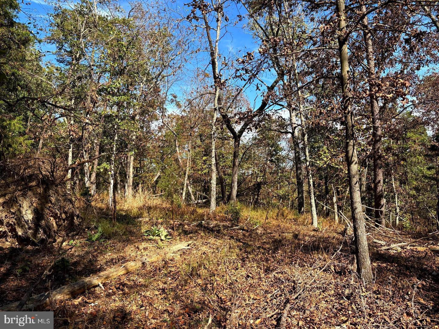 7313 Little Cacapon Rd Property Photo 30