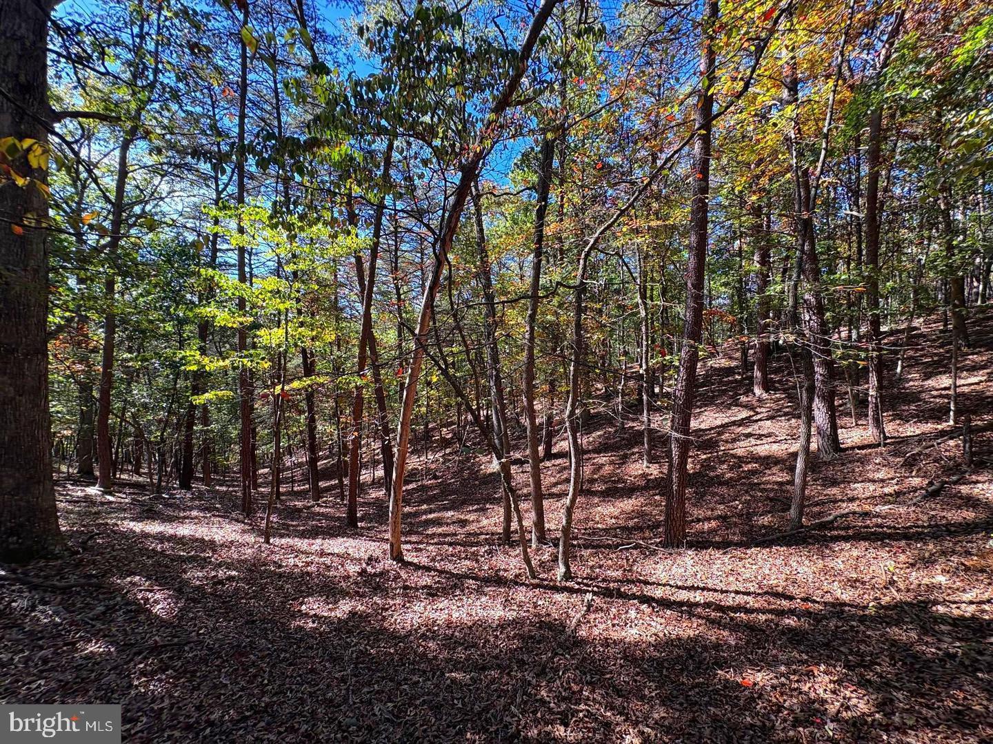 7313 Little Cacapon Rd Property Photo 32
