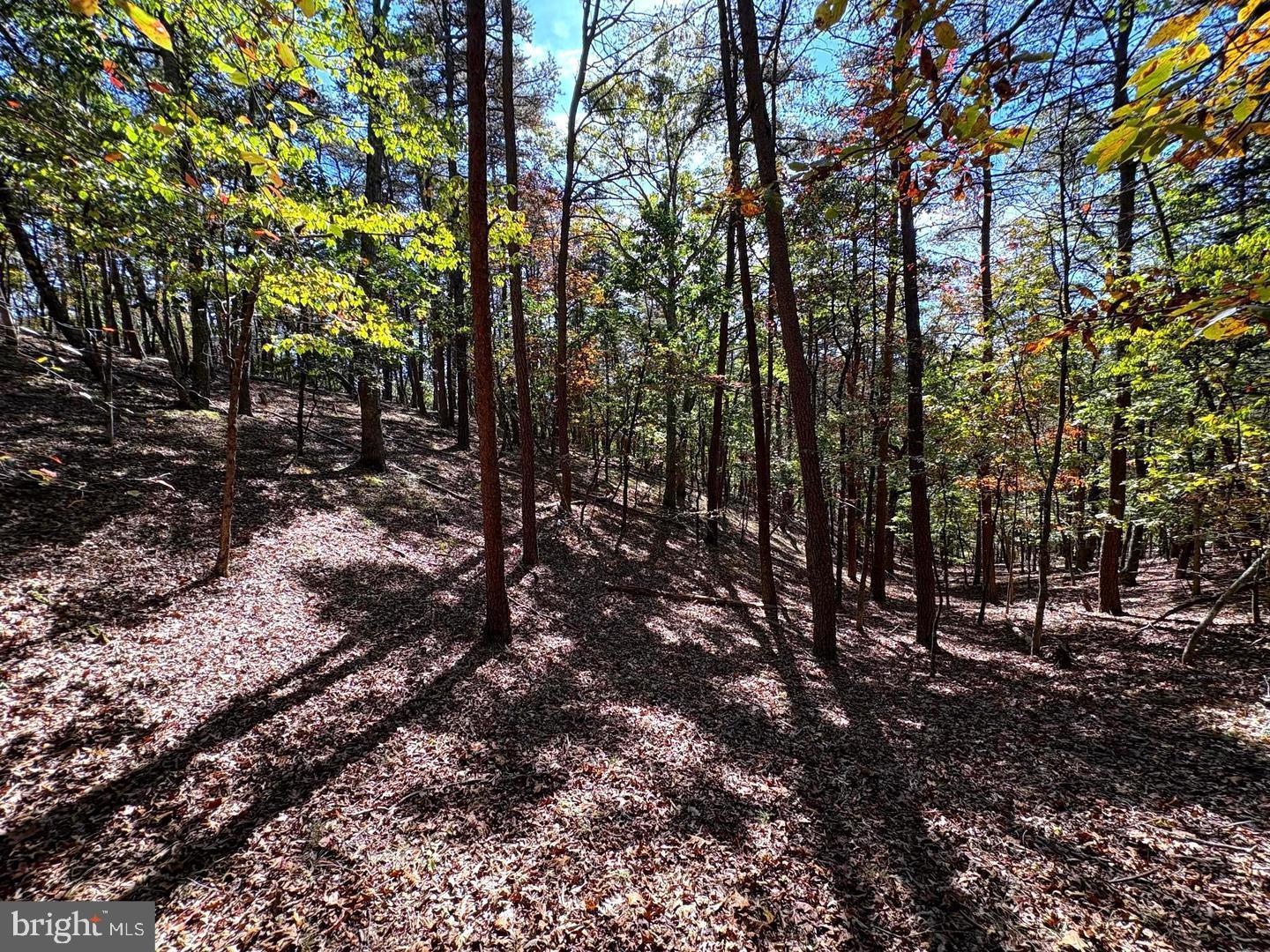 7313 Little Cacapon Rd Property Photo 33