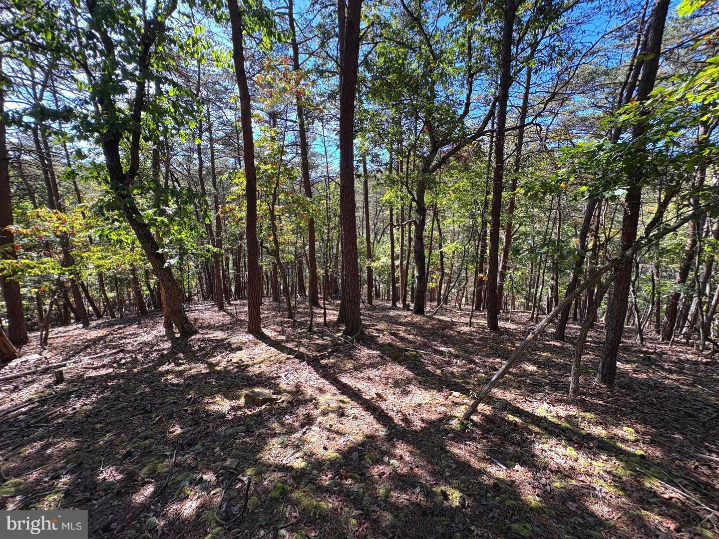 7313 Little Cacapon Rd Property Photo 34