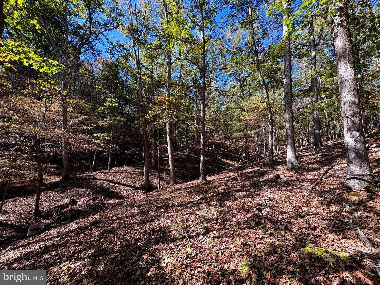 7313 Little Cacapon Rd Property Photo 35