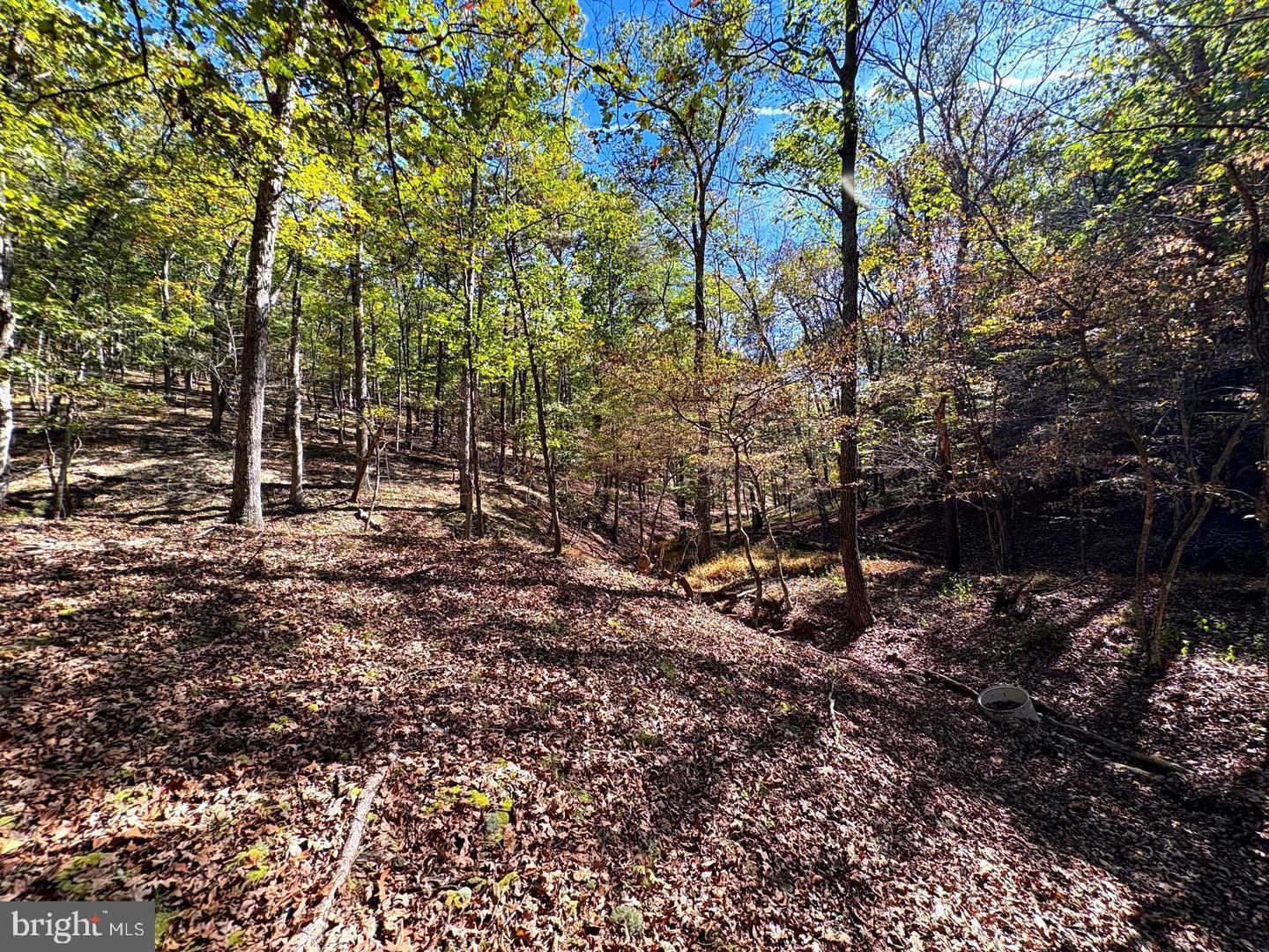 7313 Little Cacapon Rd Property Photo 37