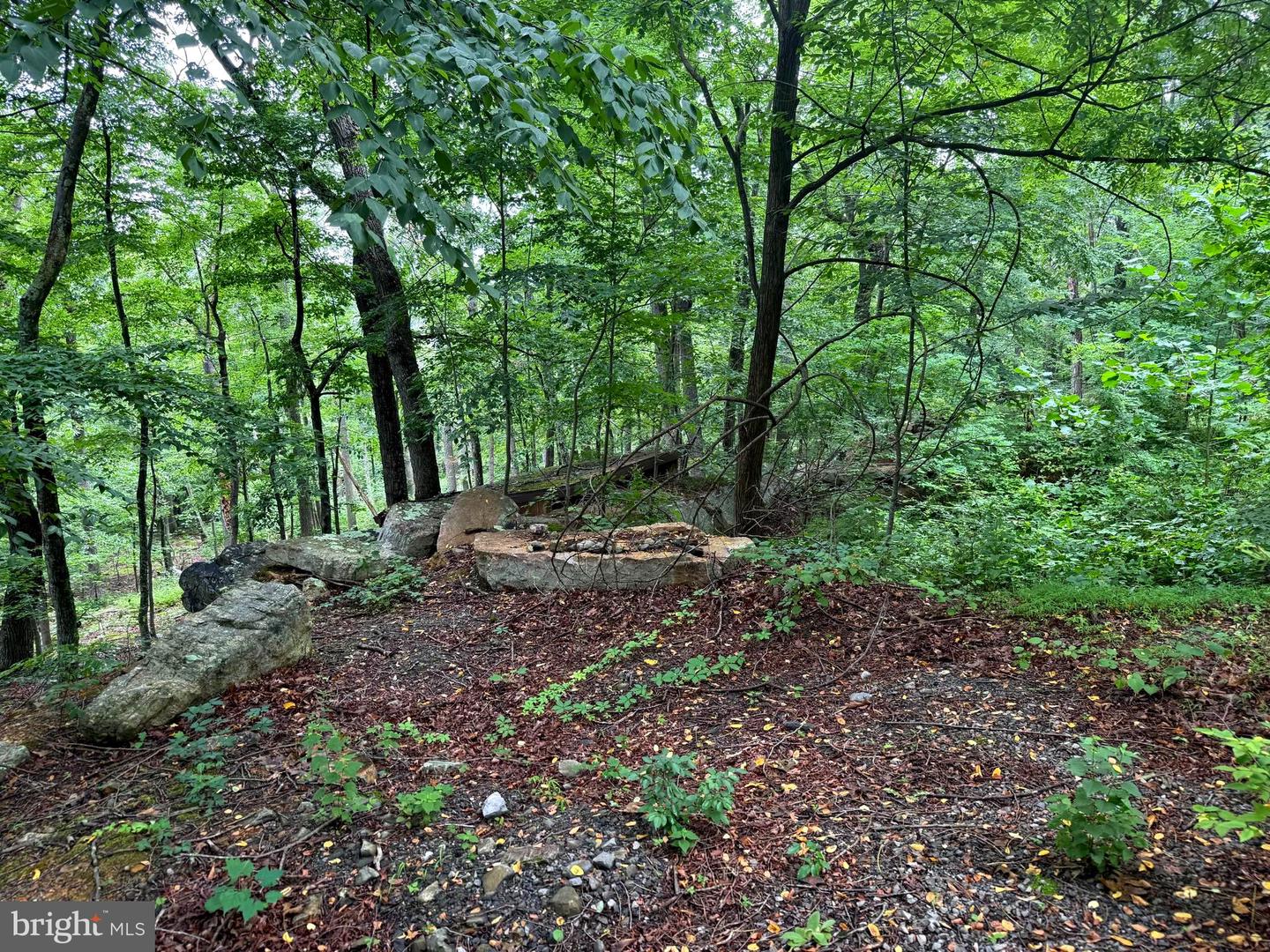 Tr D-15 Deer Path Rd Property Photo 1
