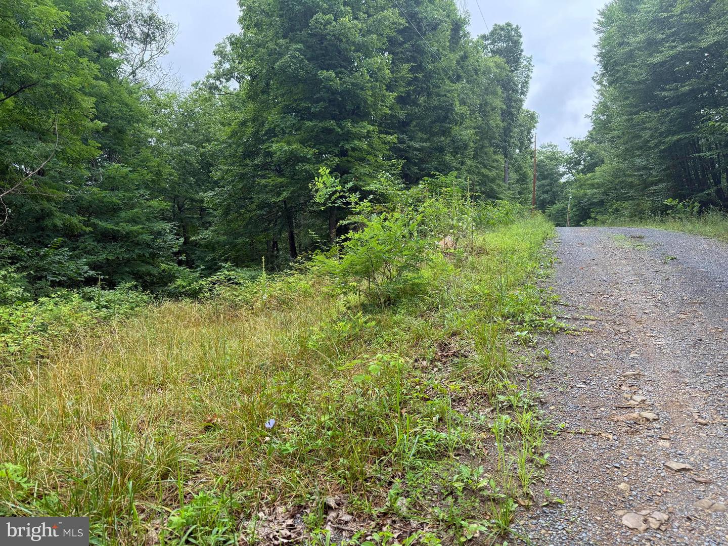 Tr D-15 Deer Path Rd Property Photo 2