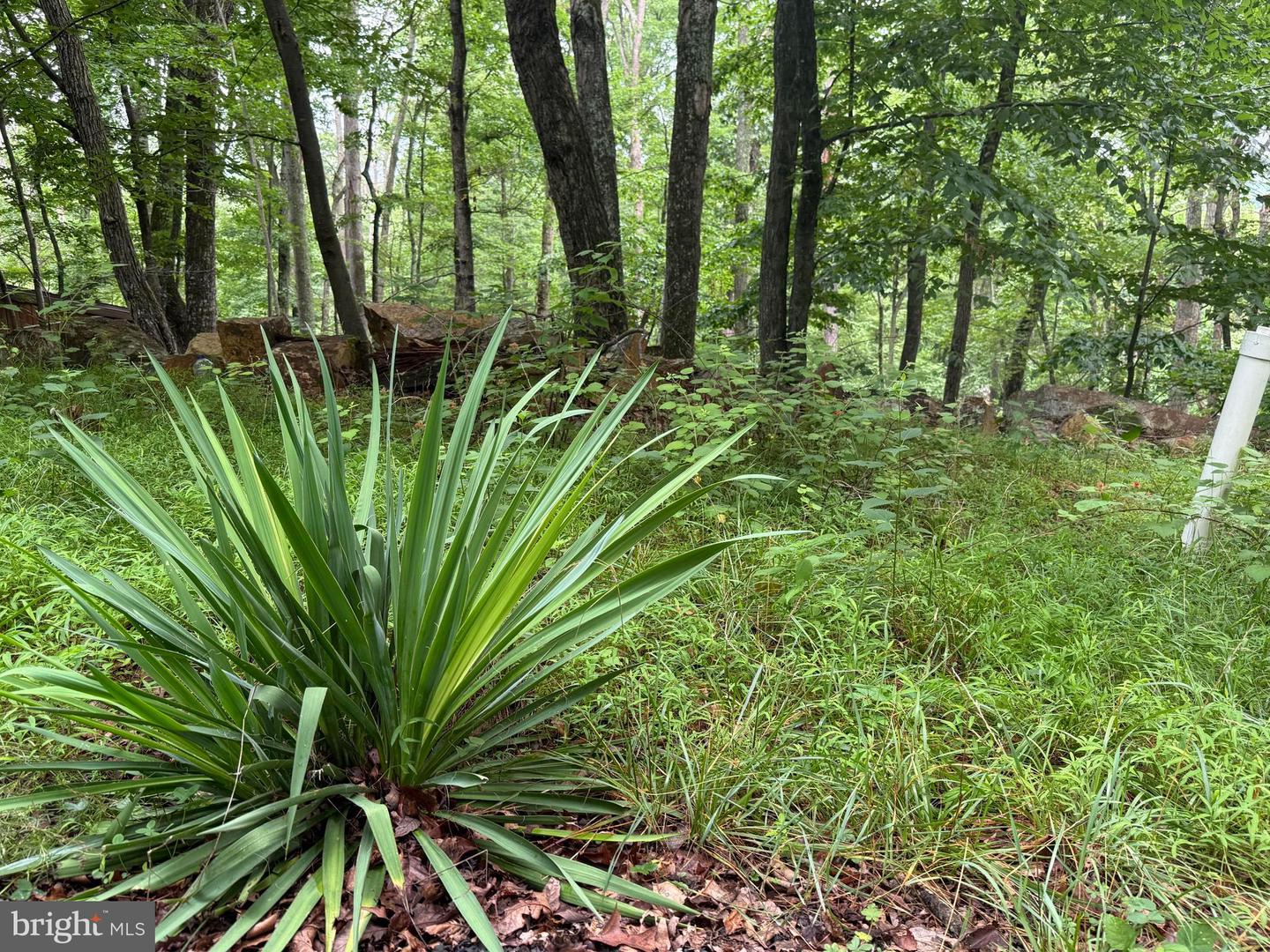 Tr D-15 Deer Path Rd Property Photo 3