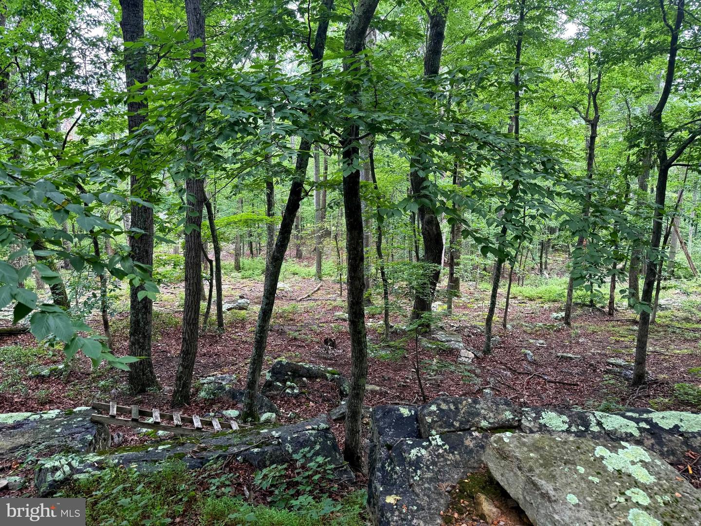 Tr D-15 Deer Path Rd Property Photo 5