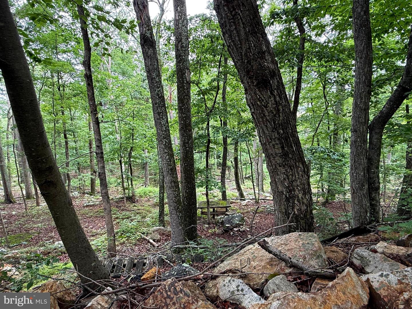 Tr D-15 Deer Path Rd Property Photo 6