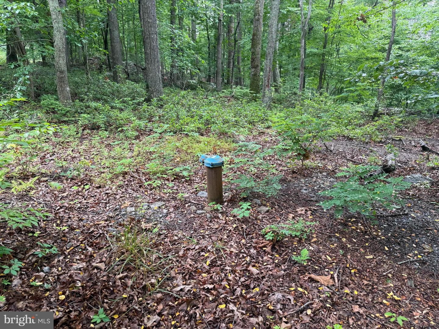 Tr D-15 Deer Path Rd Property Photo 7
