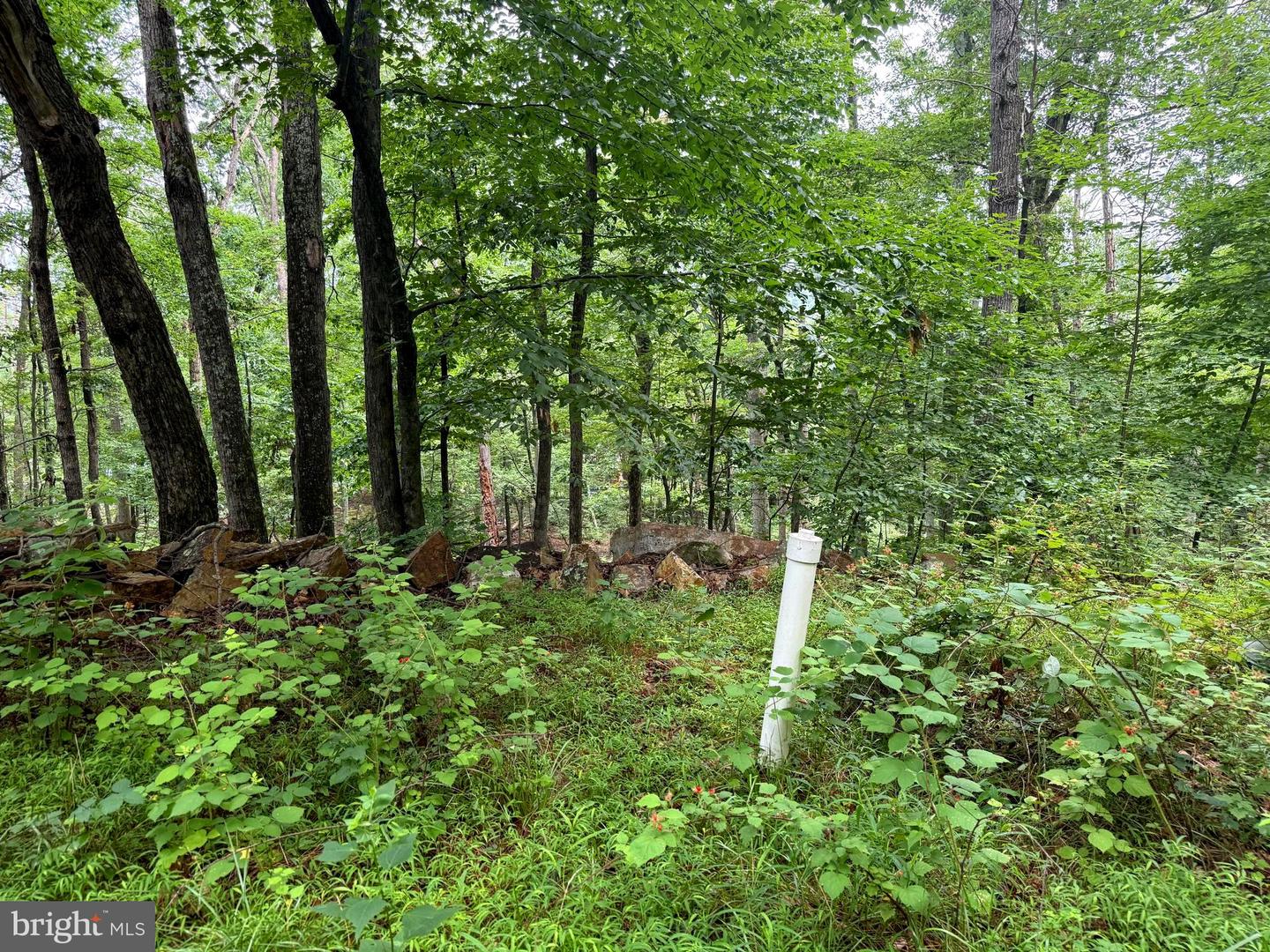 Tr D-15 Deer Path Rd Property Photo 8