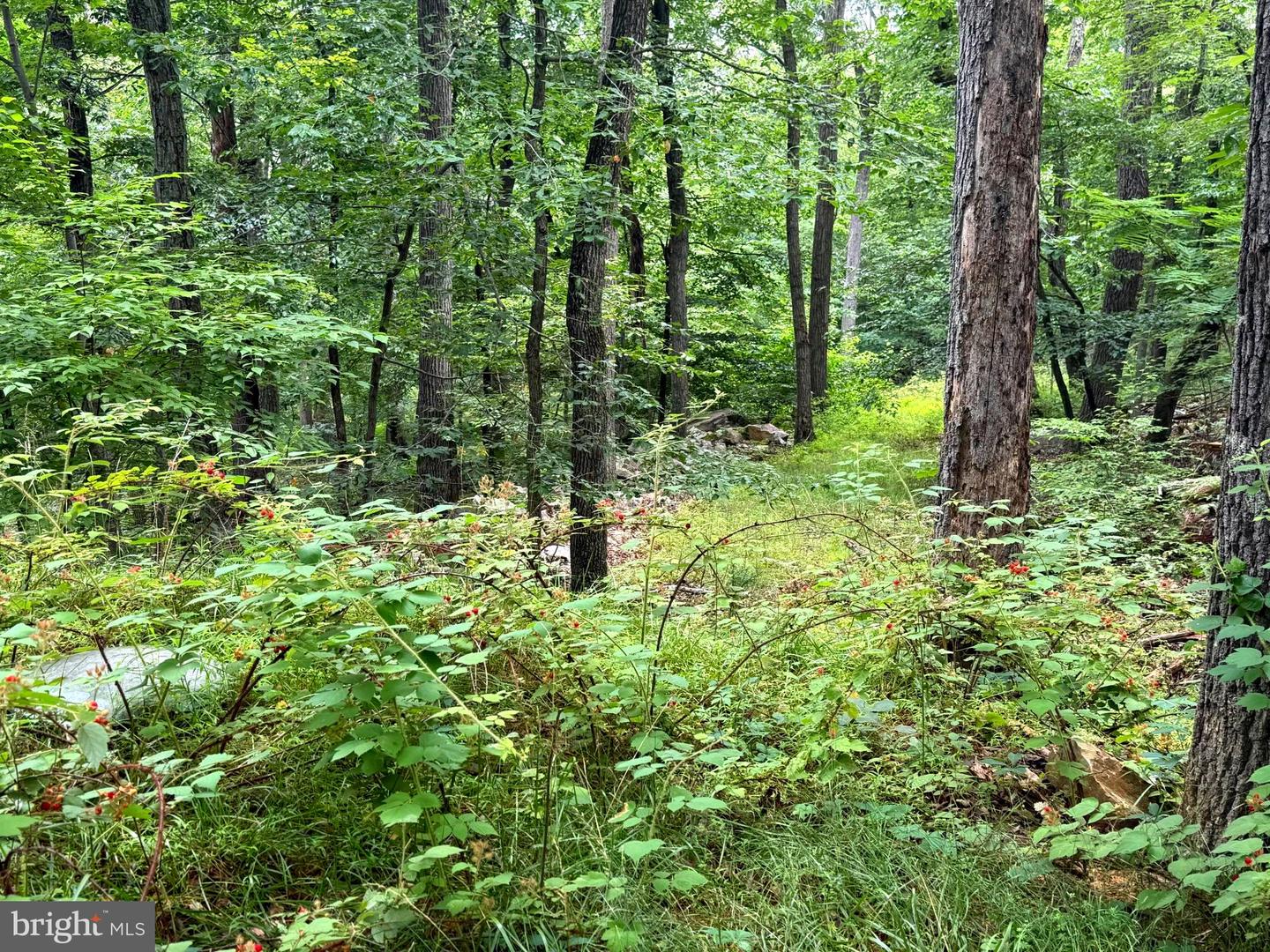 Tr D-15 Deer Path Rd Property Photo 9