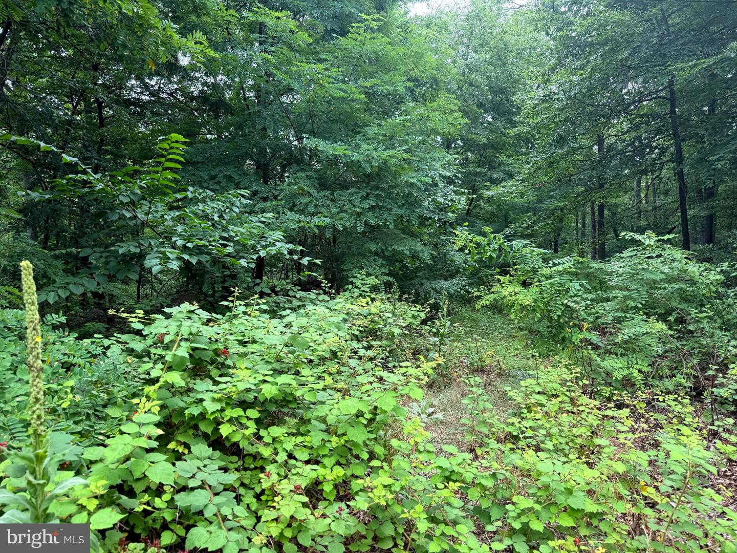 Tr D-15 Deer Path Rd Property Photo 10
