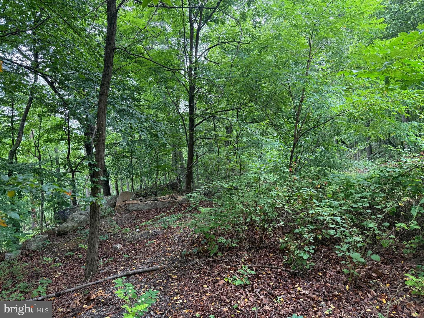 Tr D-15 Deer Path Rd Property Photo 12