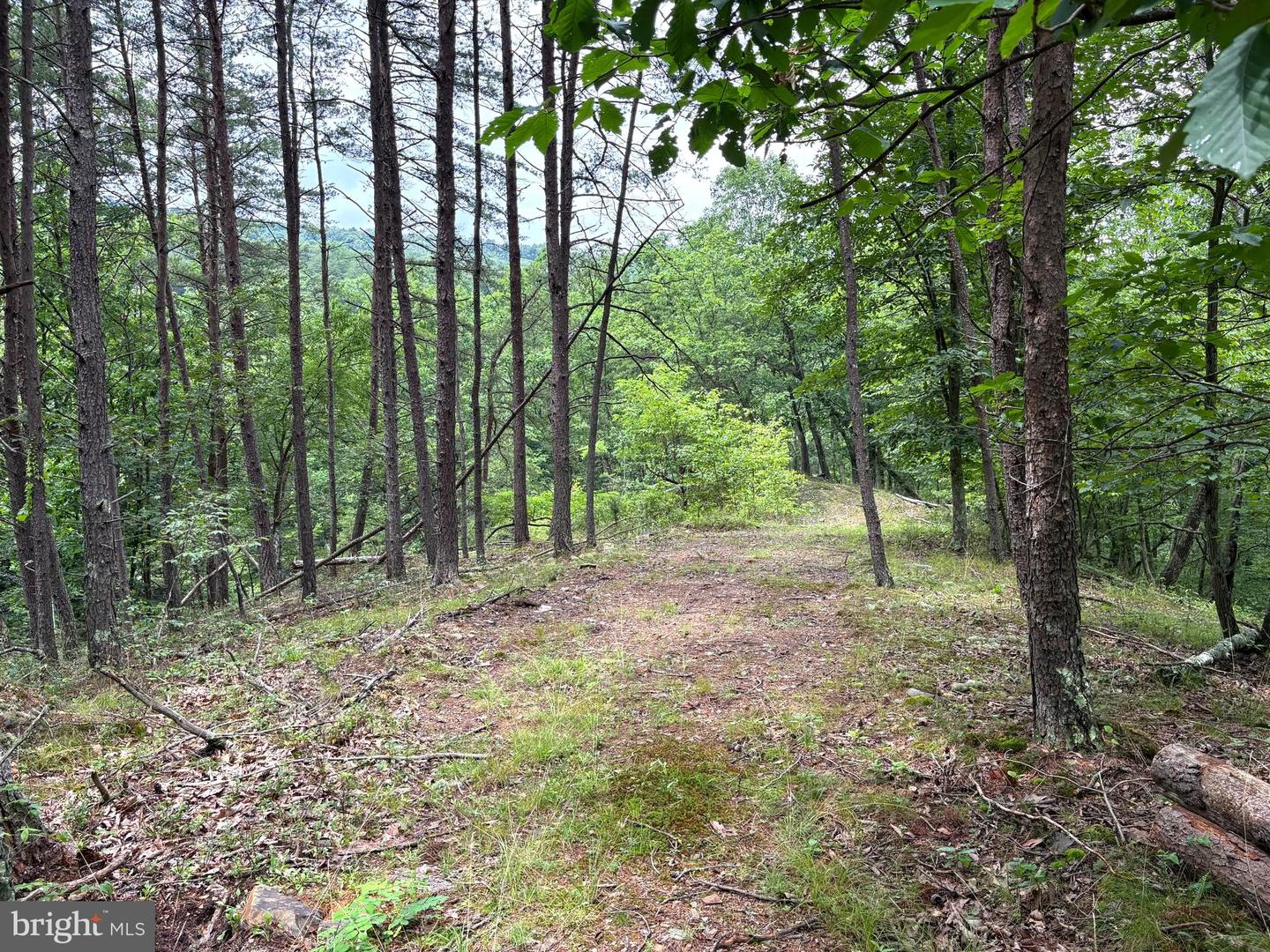 LOT 126 BLUFFS BLUE BEACH ROAD