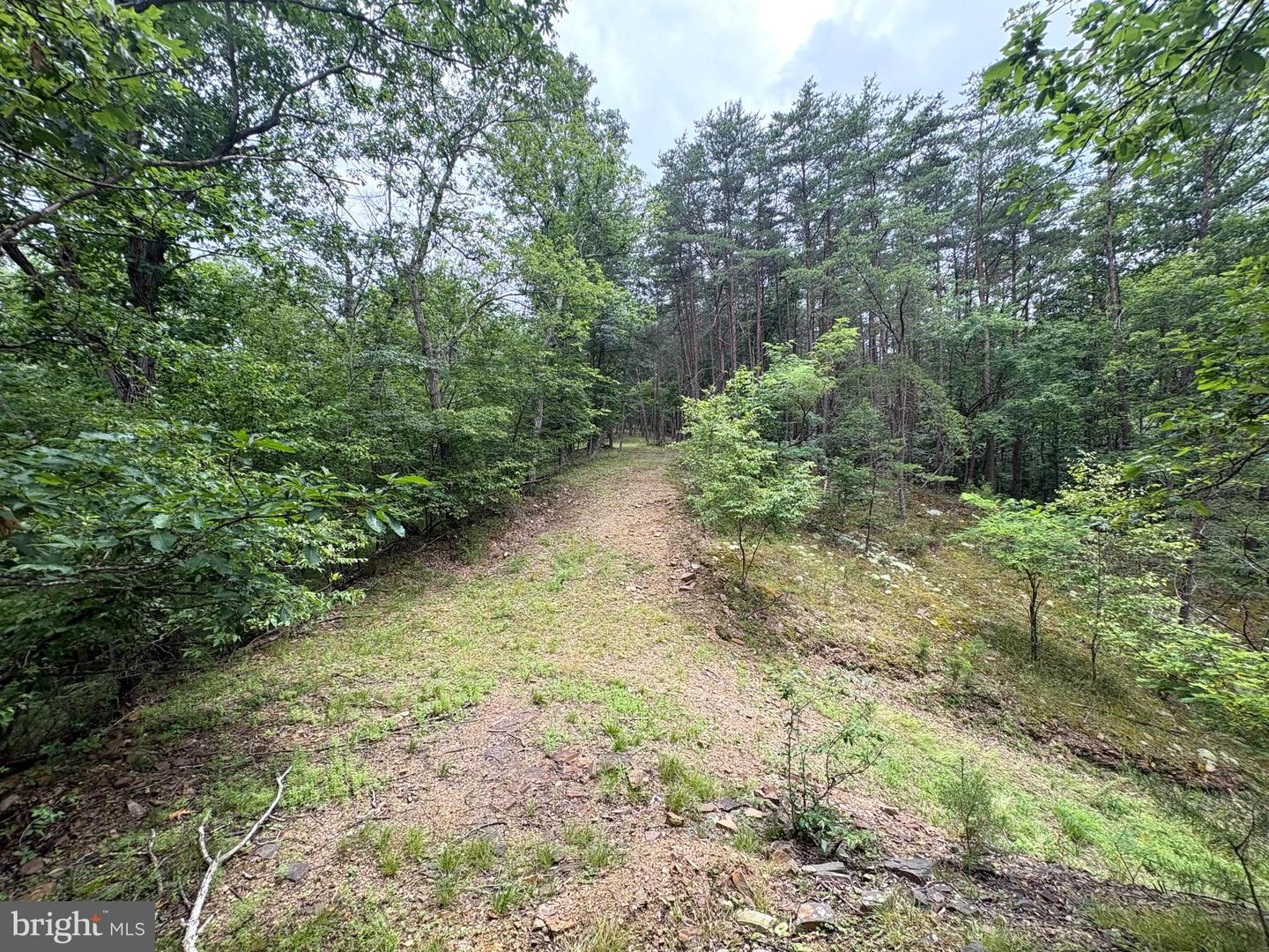 Lot 126 Bluffs Blue Beach Road Property Photo 3