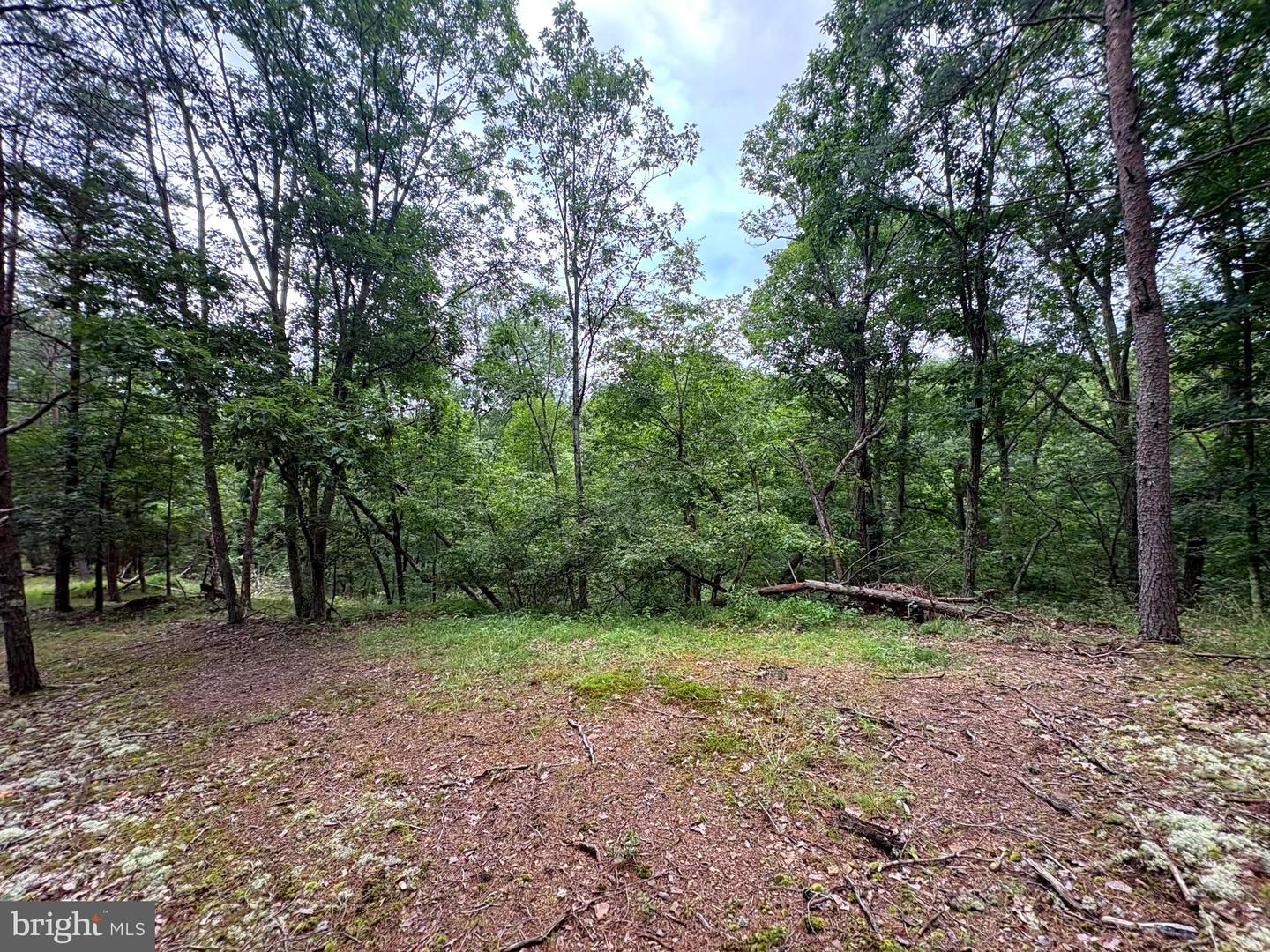 Lot 126 Bluffs Blue Beach Road Property Photo 4