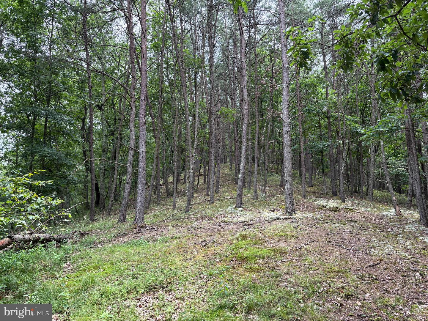Lot 126 Bluffs Blue Beach Road Property Photo 5