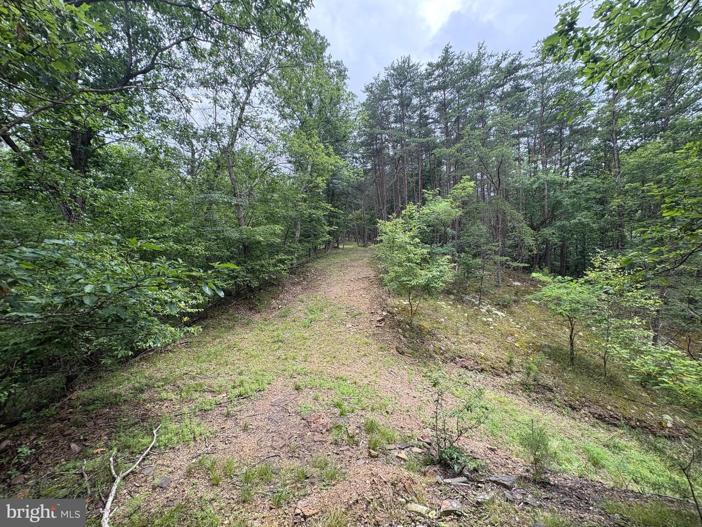 Lot 126 Bluffs Blue Beach Road Property Photo 6