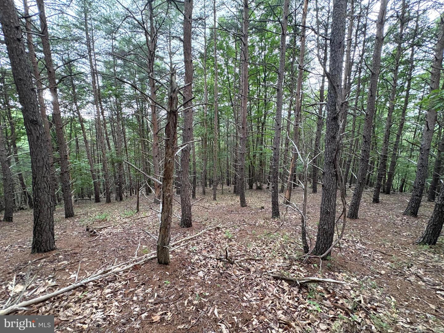 Lot 126 Bluffs Blue Beach Road Property Photo 7
