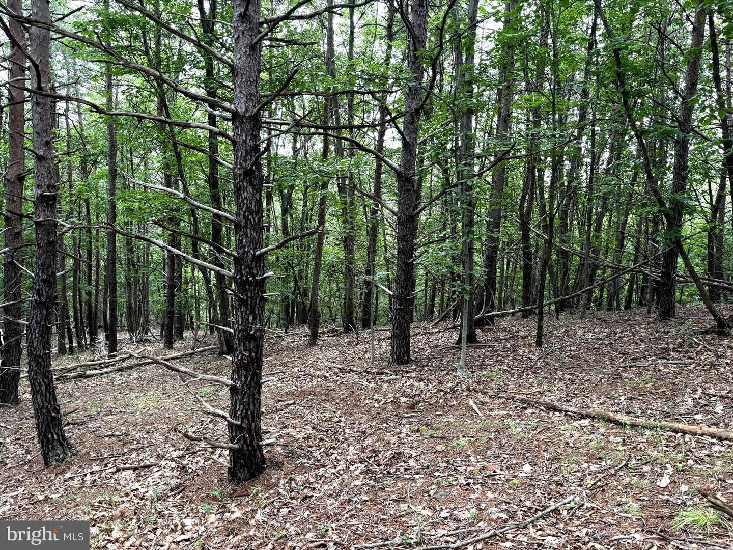 Lot 126 Bluffs Blue Beach Road Property Photo 8
