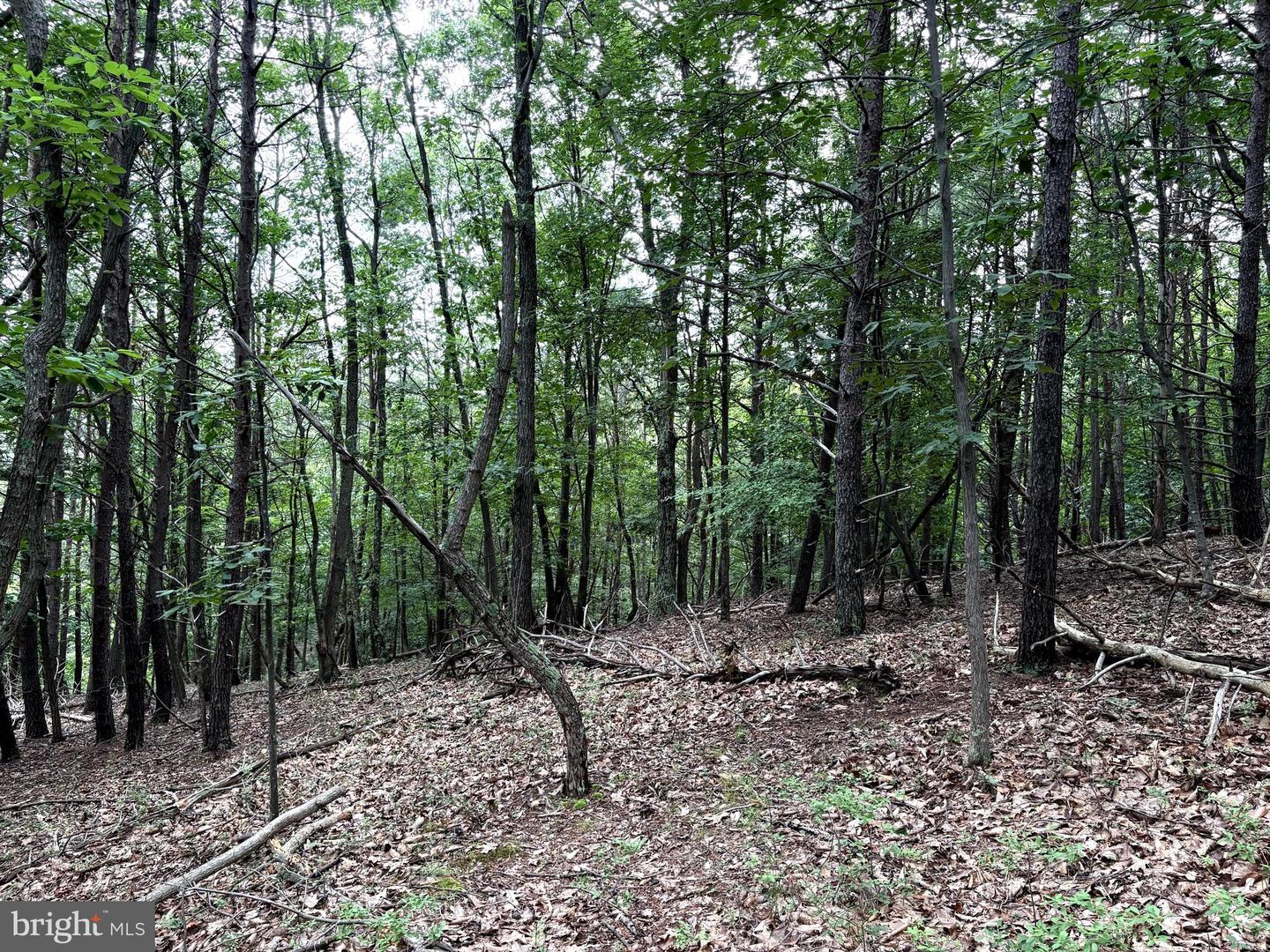 Lot 126 Bluffs Blue Beach Road Property Photo 9
