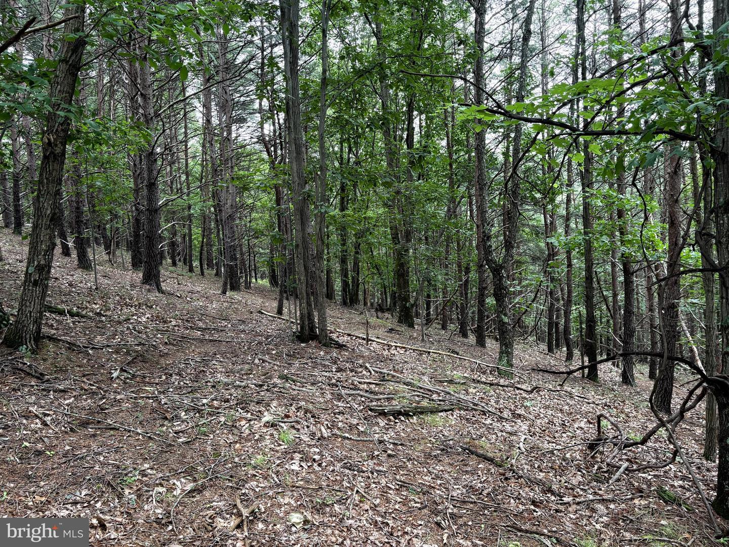 Lot 126 Bluffs Blue Beach Road Property Photo 10