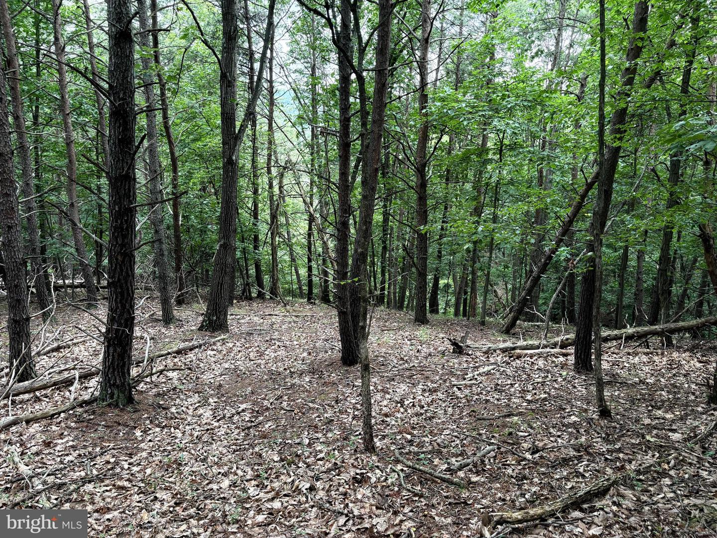 Lot 126 Bluffs Blue Beach Road Property Photo 11