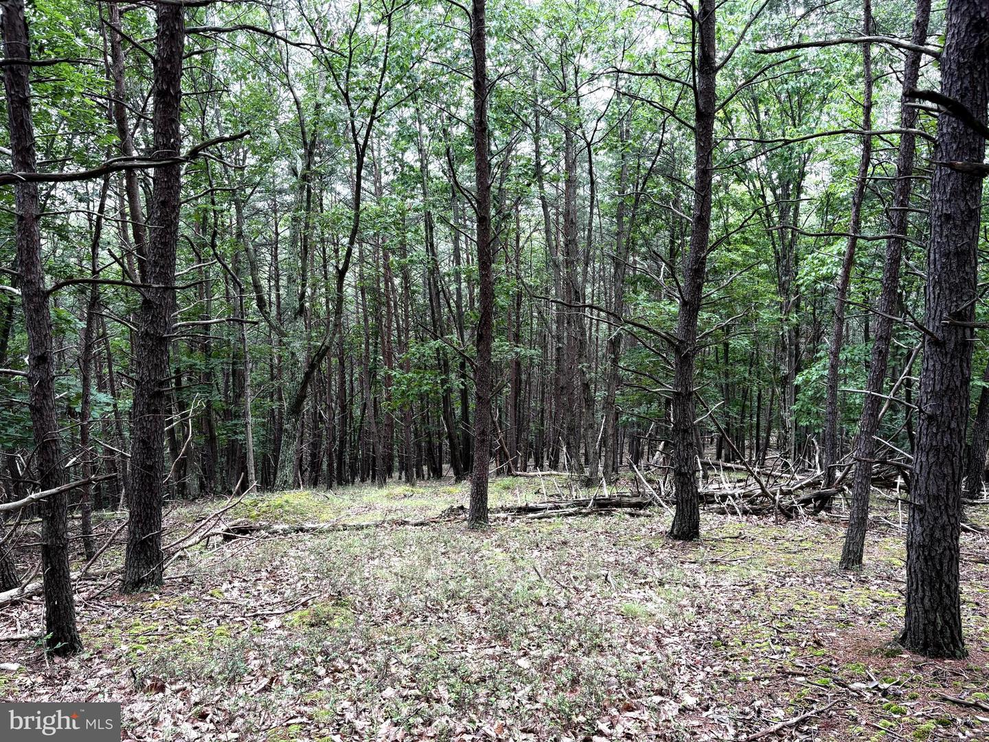 Lot 126 Bluffs Blue Beach Road Property Photo 12
