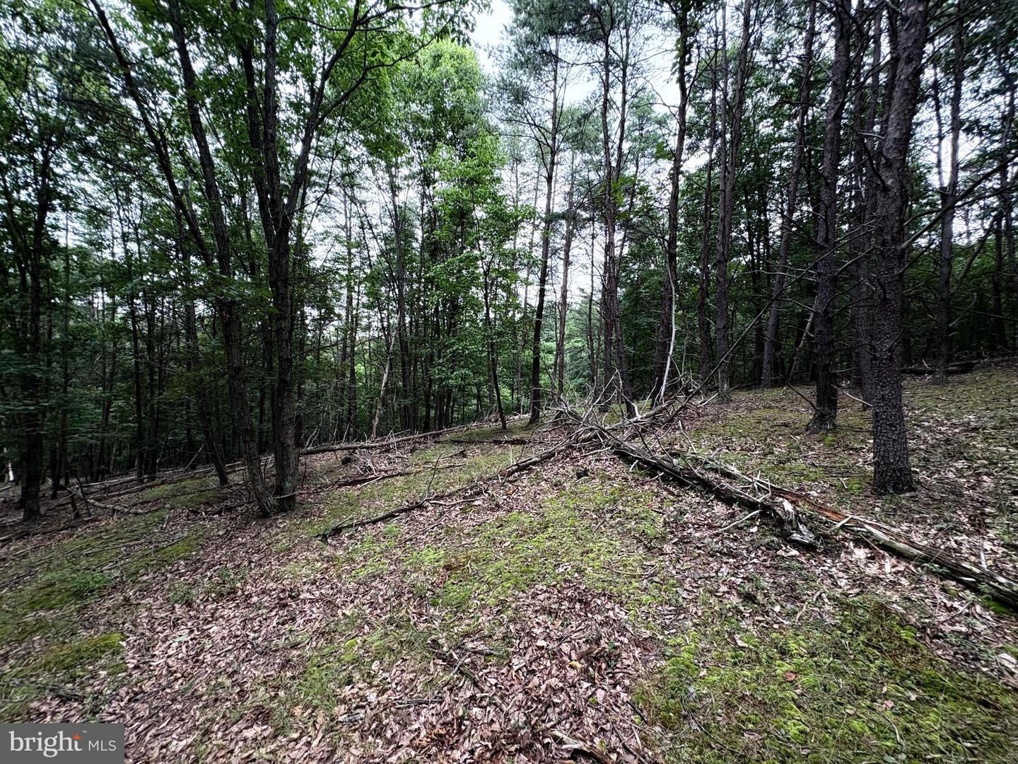 Lot 126 Bluffs Blue Beach Road Property Photo 13