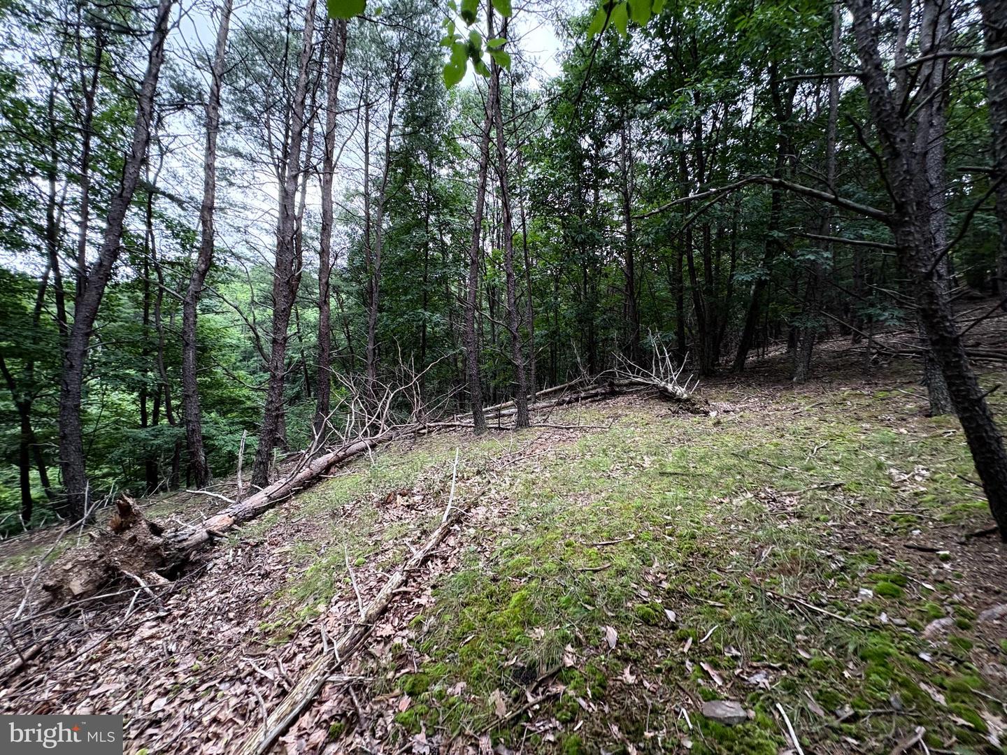 Lot 126 Bluffs Blue Beach Road Property Photo 14